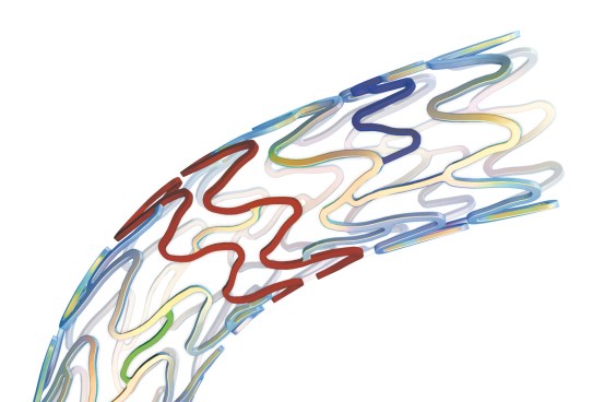 Co-Cr Stents