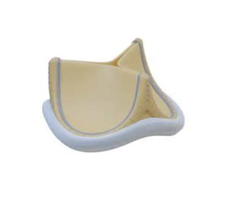Biological Heart Valves
