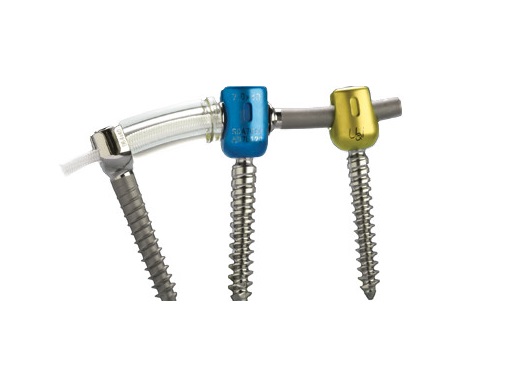 Dynamic Stabilization Systems