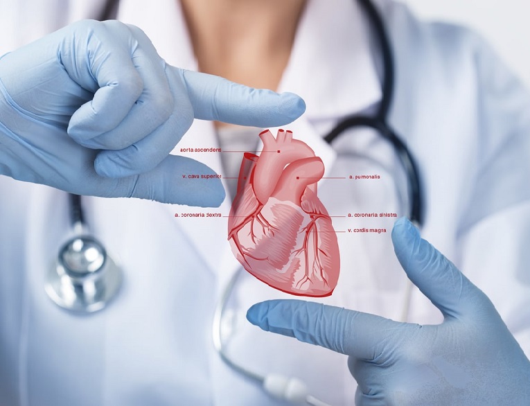 Interventional Cardiology