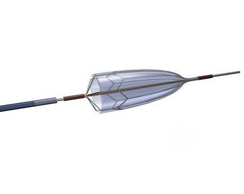 Embolic Protection Devices